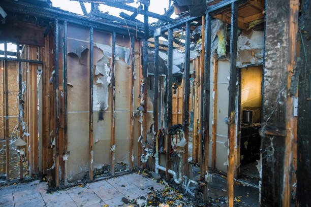 Professional Fire Damage Removal technician working in Pleasant View, UT